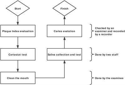 Enamel and Dentin Caries Risk Factors of Adolescents in the Context of the International Caries Detection and Assessment System (ICDAS): A Longitudinal Study